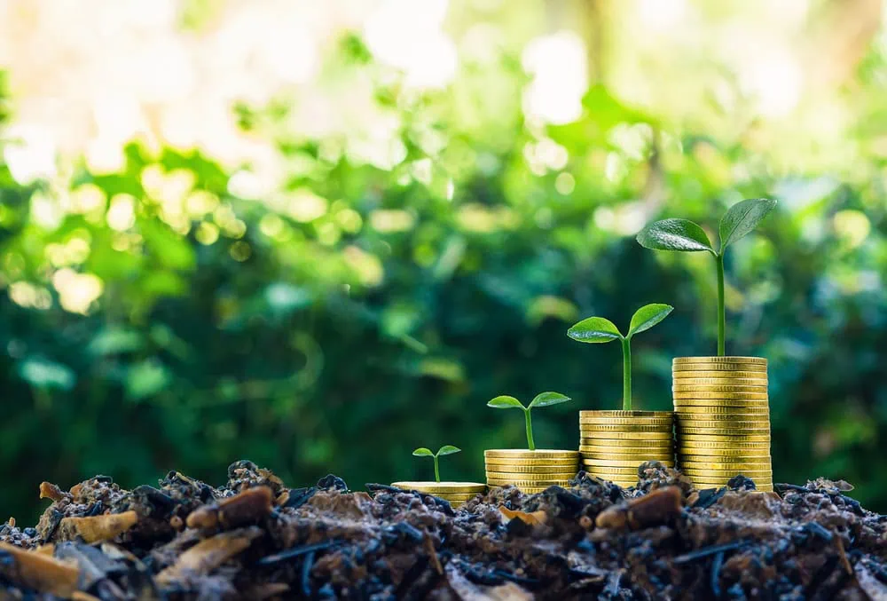 bigstock-Long-term-Investment-Or-Making-310297009