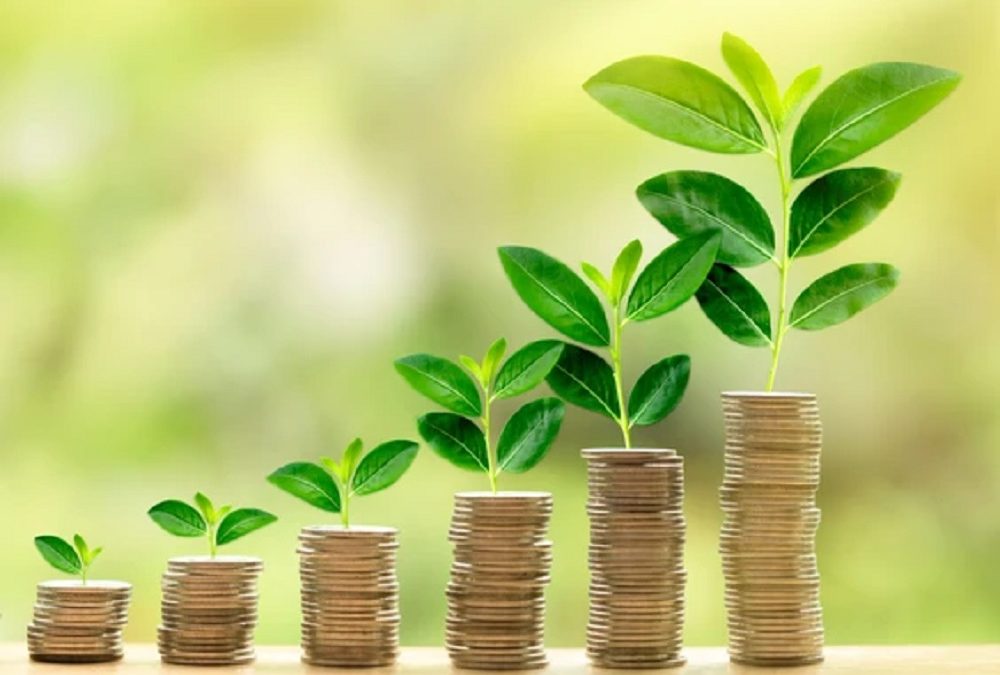 Business Owners, You Can – And Likely Should – Be Growing Your Corporate Savings