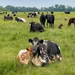 Can You Afford to Retire from the Farm?